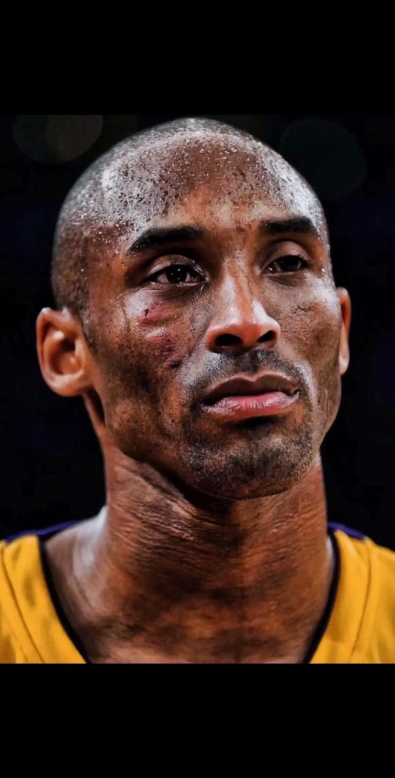 执教过多支德甲球队，记者：拉巴迪亚曾进入国足选帅最终阶段（记者称拉巴迪亚曾入围国足选帅最后阶段，曾执教多家德甲队）